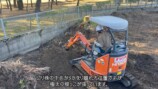 YouTuberこつぶ、巨大な切り株に立ち向かうの画像