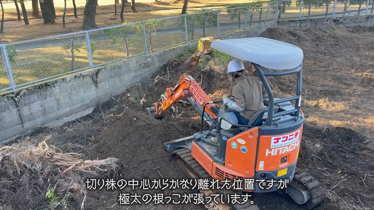 YouTuberこつぶ、巨大な切り株に立ち向かうの画像