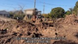 YouTuberこつぶ、巨大な切り株に立ち向かうの画像