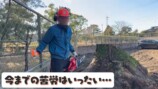 YouTuberこつぶ、巨大な切り株に立ち向かうの画像