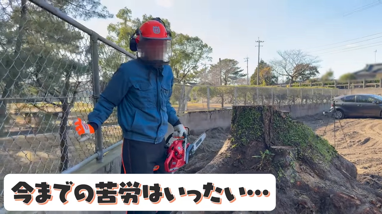 YouTuberこつぶ、巨大な切り株に立ち向かうの画像