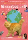 『猫たちと7000マイルの旅』9月4日公開の画像