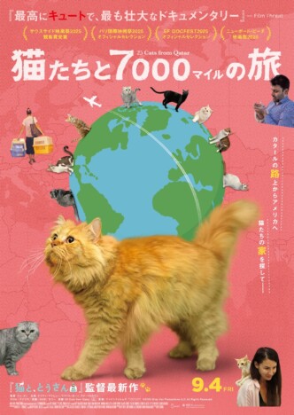 野良猫たちをカタールからアメリカへ ドキュメンタリー『猫たちと7000マイルの旅』9月公開