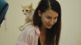 『猫たちと7000マイルの旅』9月4日公開の画像