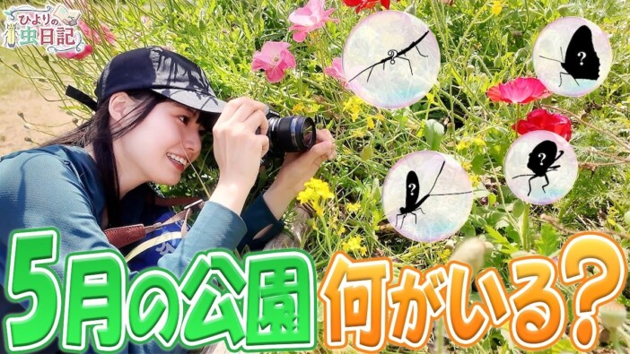 虫オタク女子・片田陽依、“美しい蝶”を発見 うっとりと見惚れる姿に視聴者「可愛すぎた」