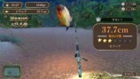 釣って！世界の魚つり　スクリーンショット