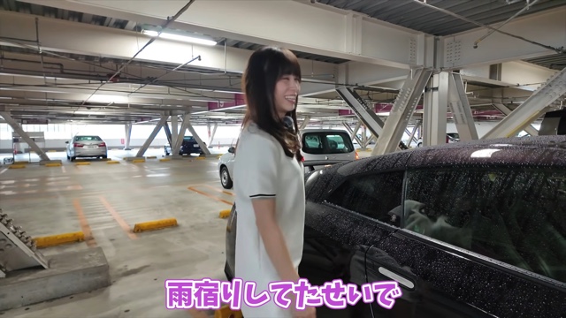「日産GT-R（R35型）」で雹に遭遇するあま猫