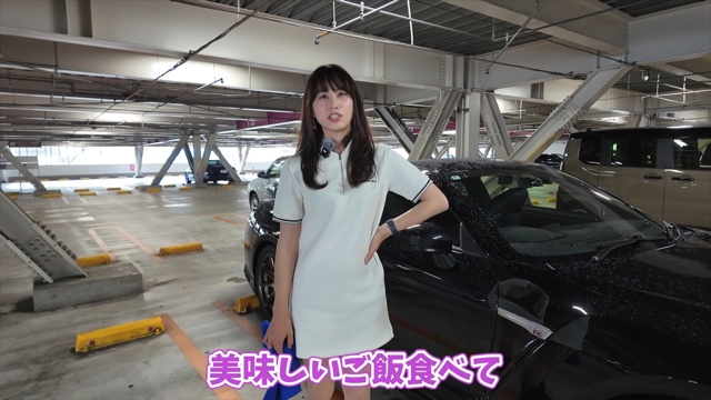 「日産GT-R（R35型）」で雹に遭遇するあま猫