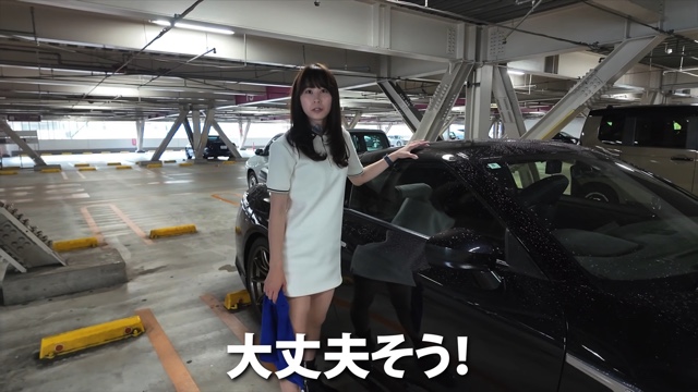 「日産GT-R（R35型）」で雹に遭遇するあま猫