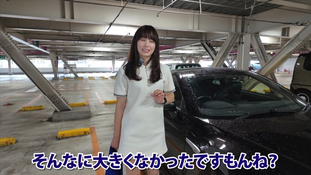 「日産GT-R（R35型）」で雹に遭遇するあま猫
