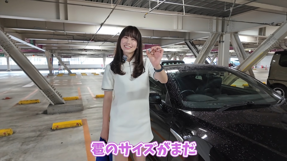 あま猫、高級車が雹に打たれ大パニックの画像