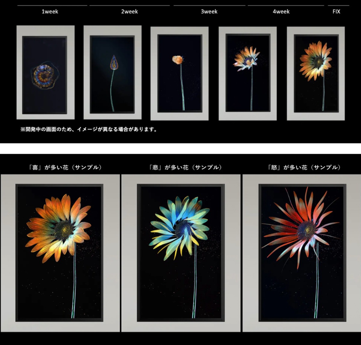 声かけに反応して花が咲く“デジタル植物”
