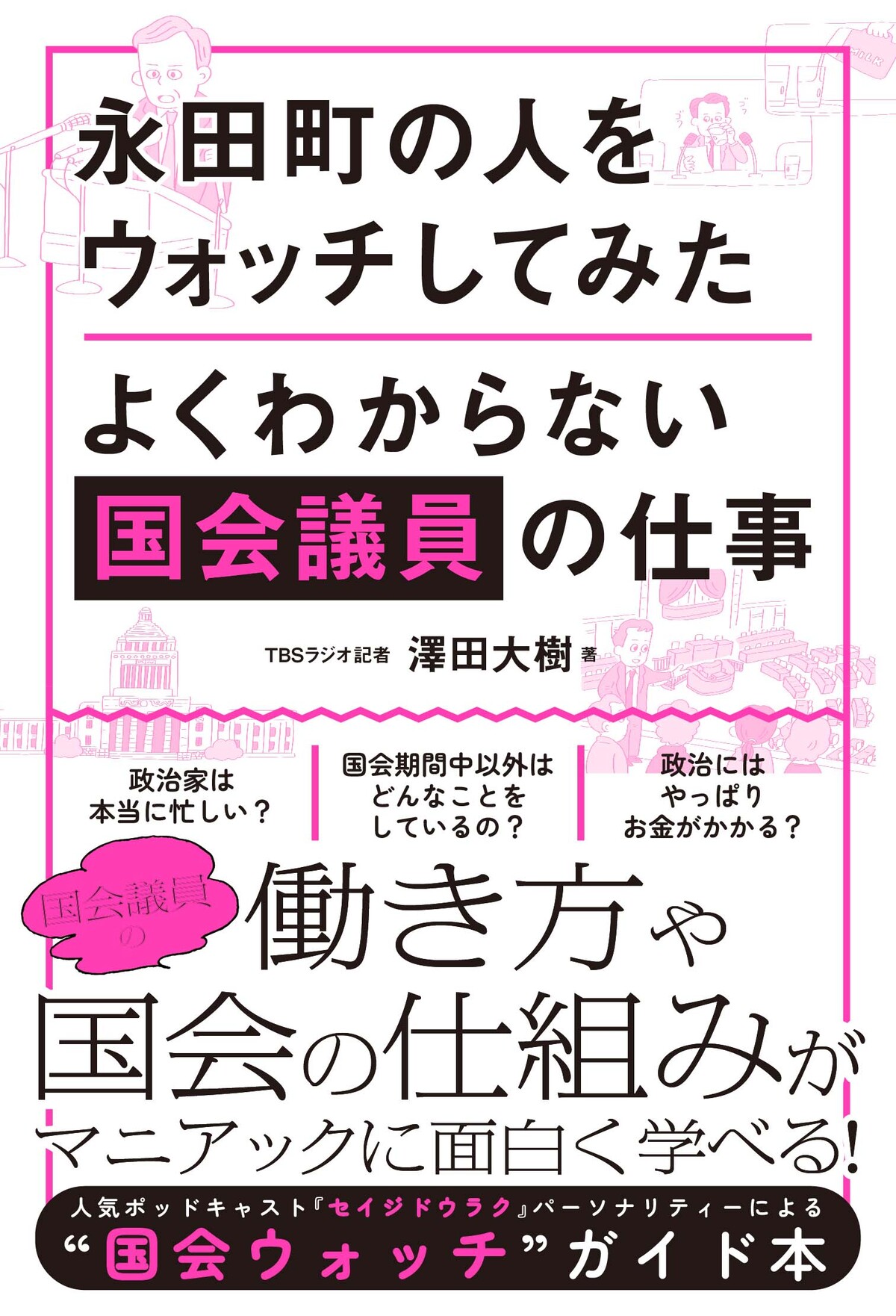 澤田大樹『永田町の人をウォッチしてみた』