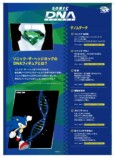 DNA分析内容パネル