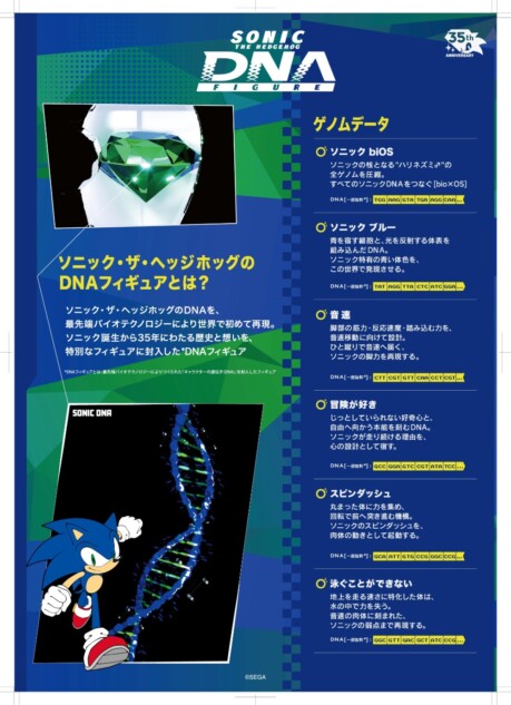 DNA分析内容パネル