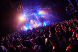 崎山蒼志 ライブ写真（撮影＝KEIKO TANABE）