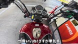 「ゴアンクラシック350」に乗るこつぶ