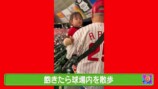 娘と一緒に野球観戦をする山本圭壱
