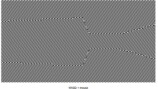 『Zebra』のプレイ画面。よく見ると3Dの迷路を主観視点で描いたものだとわかる）