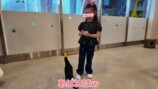 娘と動物に触れ合う板野友美