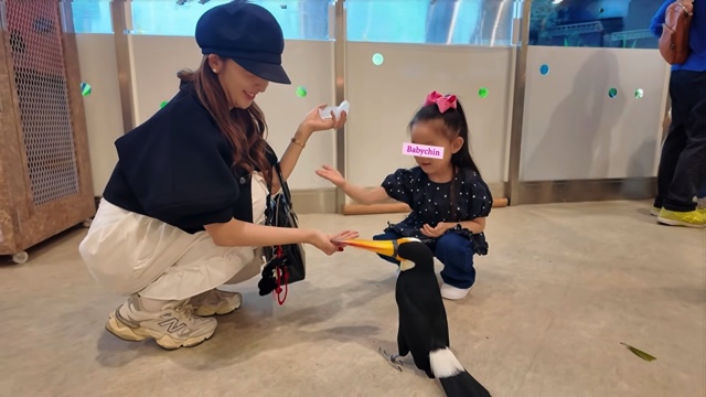 娘と動物に触れ合う板野友美