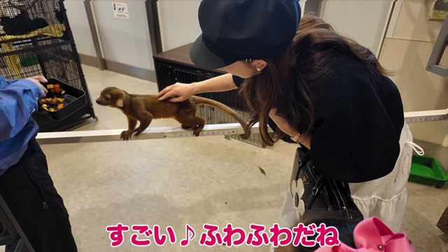 娘と動物に触れ合う板野友美