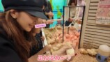 娘と動物に触れ合う板野友美