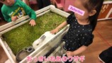 娘と動物に触れ合う板野友美