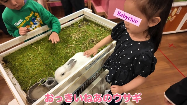 娘と動物に触れ合う板野友美