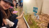 娘と動物に触れ合う板野友美