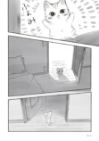 【漫画】母親を亡くした子猫迎え入れの苦労の画像