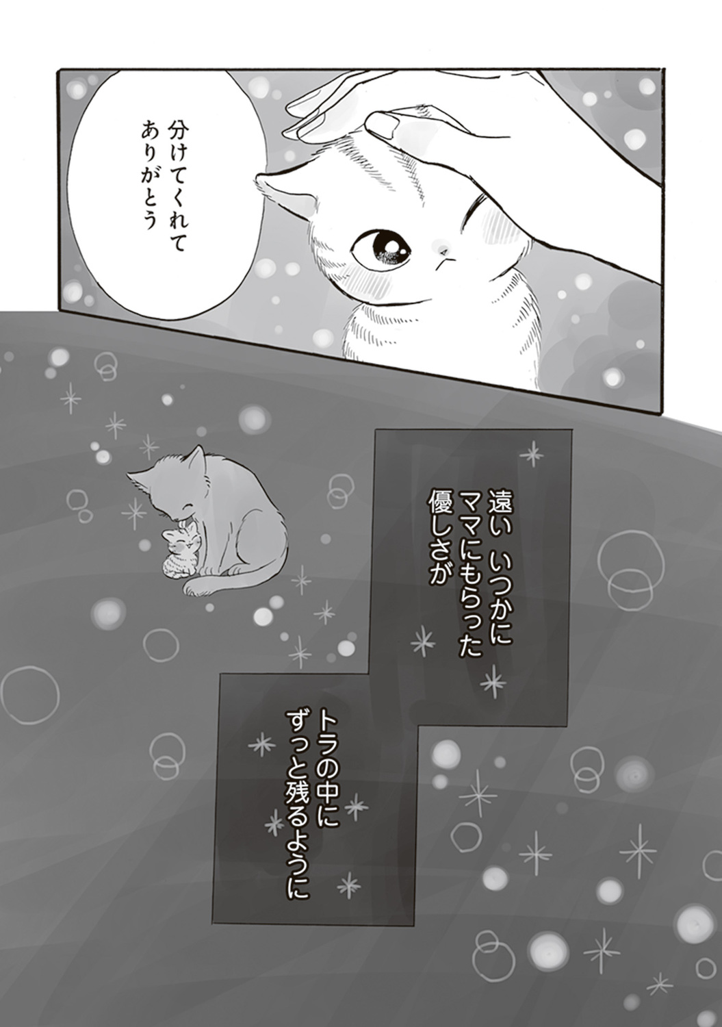 【漫画】母親を亡くした子猫迎え入れの苦労の画像