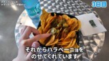 W杯を現地で観戦するいけちゃん