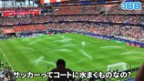 W杯を現地で観戦するいけちゃん