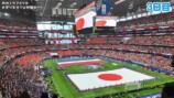 W杯を現地で観戦するいけちゃん