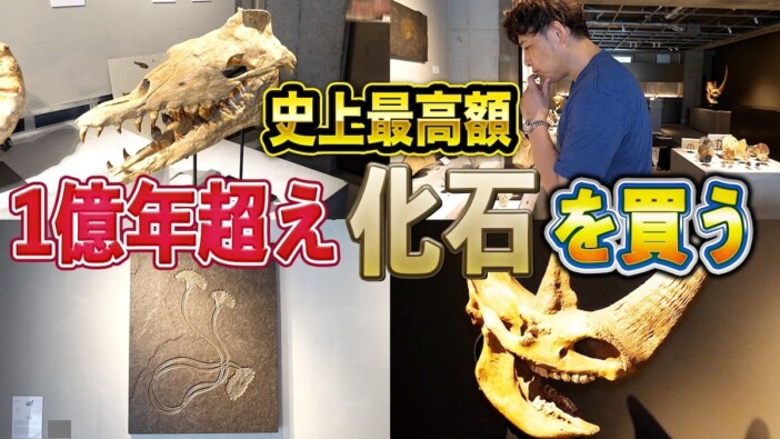 アルピー平子、1億5000万年前の化石を購入　意外な価格帯に驚愕「手届くんだな」