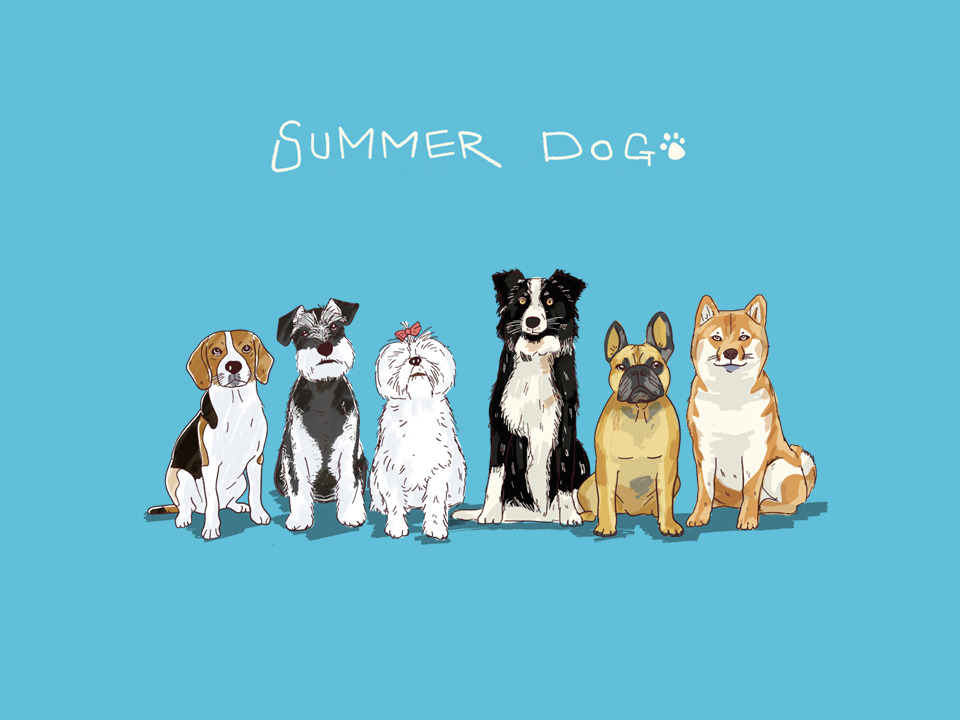SUMMER DOG、新曲「Malat」配信