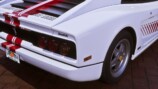 ULTIMATE_EDITION_GROTTI_CHEETAH