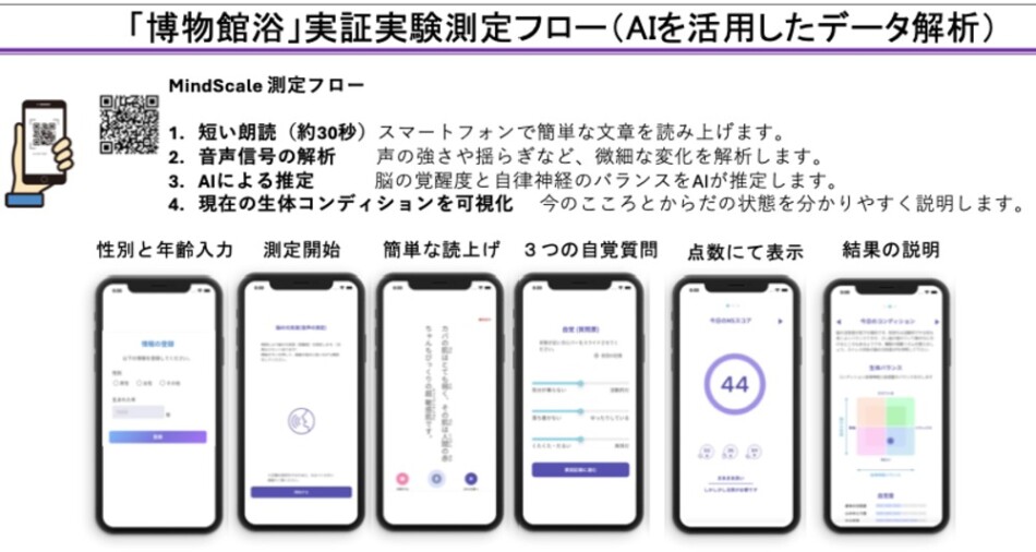 実証実験測定フロー