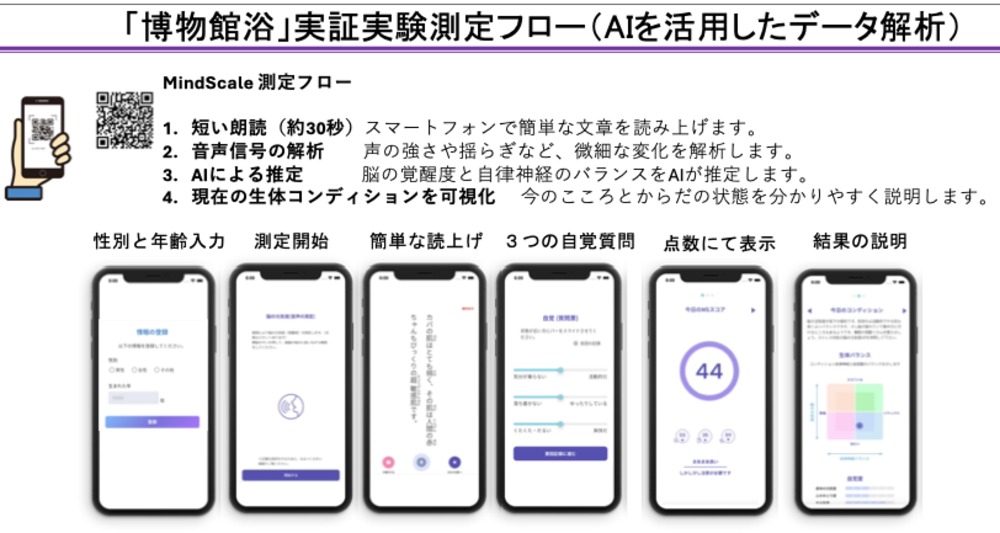 実証実験測定フロー
