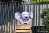 『ドラえもん』ひみつ道具展開催の画像