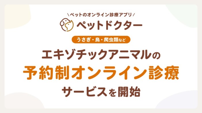 “近くに専門病院がない”を解決へ　『ペットドクター』エキゾチックアニマル向け診療スタート　