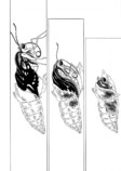 【漫画】昆虫好きの女の子の悩みとは？の画像