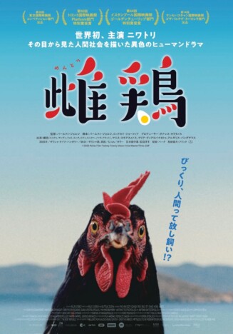 CG・AIほぼなしで実演 世界初のニワトリ主演映画『雌鶏』9月25日公開決定