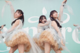 Rain Tree