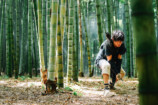『キングダム』超初心者が驚いたポイントの画像
