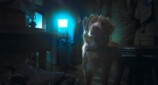 『GOOD BOY／グッド・ボーイ』の画期性の画像