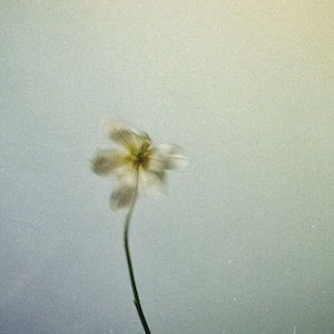 「Shelter feat. Sam Wills」