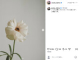 貴島明日香、第1子妊娠を発表の画像