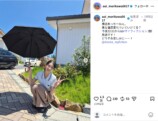 森川葵、白ポロシャツ姿でピースサインの画像